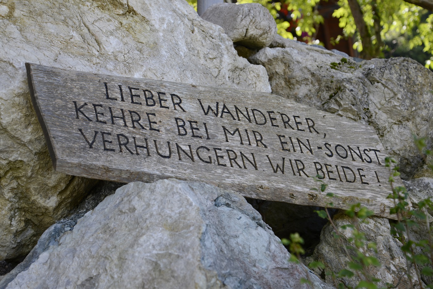 Auf dem Weg zur Alm Samerberg